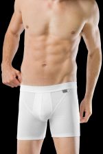 Schiesser Lot de 2 shorts série Authentic – blanc